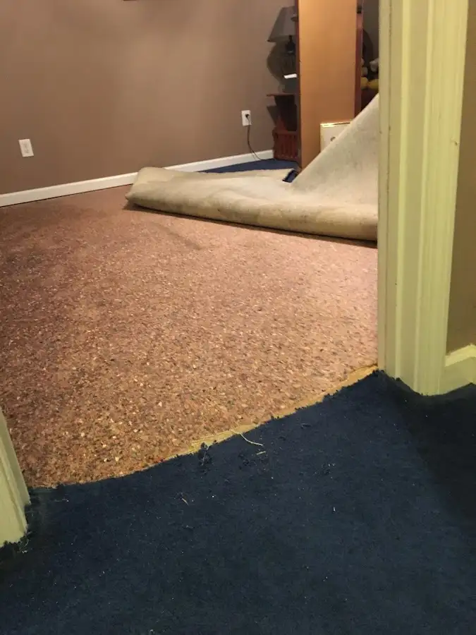 Carpet pad removal revealing water damage during Drying & Dehumidification in Bithlo