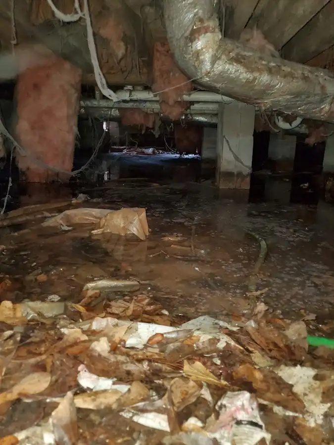 Crawl space flood assessment for Commercial Water Damage Restoration in Bithlo