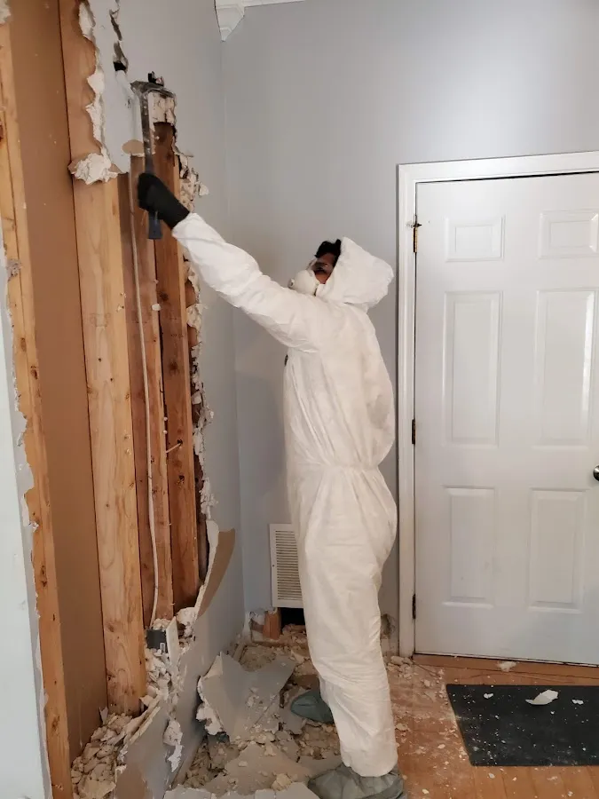 Flood Damage Cleanup in Bithlo, FL